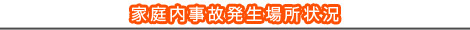 家庭内事故発生場所状況